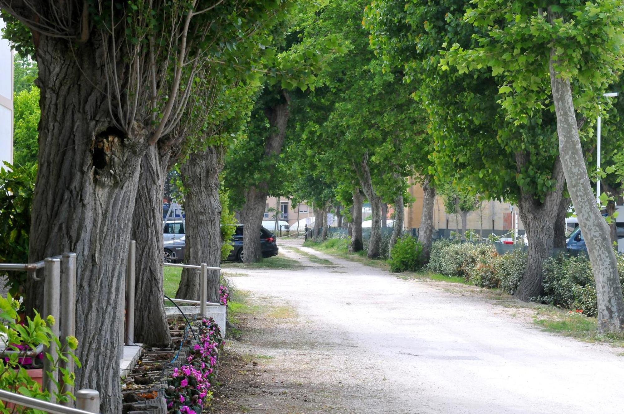 Stella - Casa Per Ferie Hotel Bellaria – Igea Marina Kültér fotó